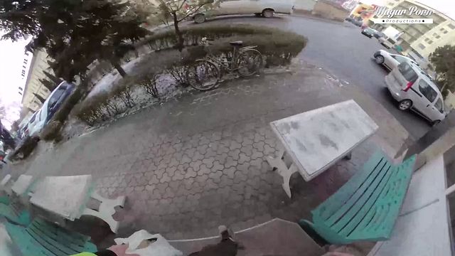Ania Kinski and her friend order a guy to ride over and fuck them